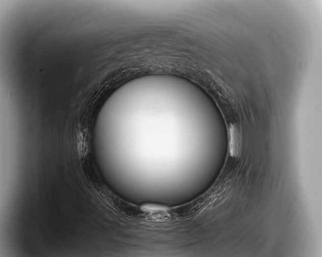 X0000097881491200803211323