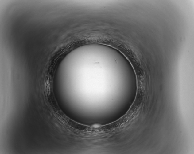 X0000097881493200803211323