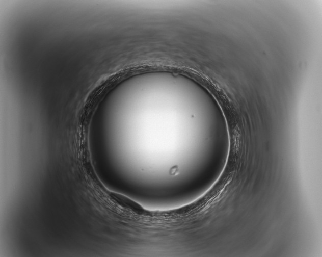 X0000097881494200803211324
