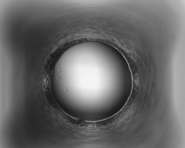X0000097881495200803211324