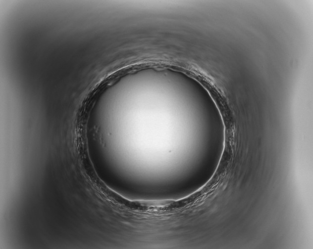 X0000097881496200803211324