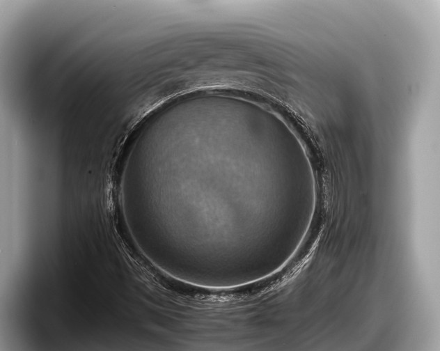 X0000097881497200803211324