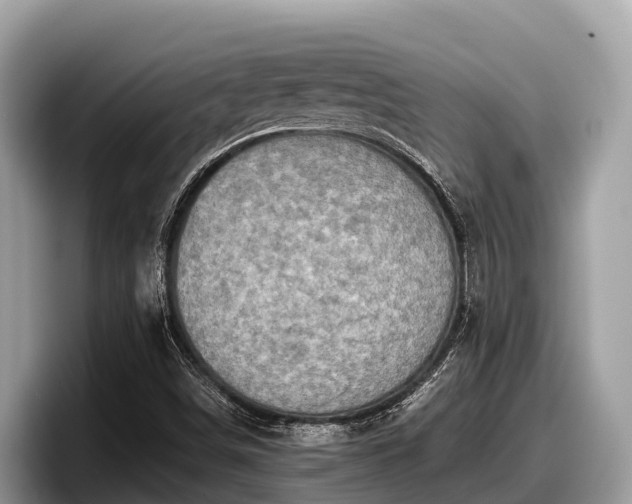 X0000097881498200803211324