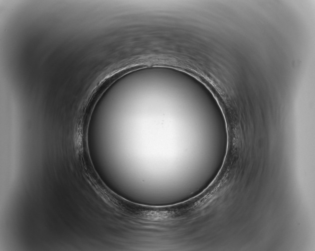 X0000097881499200803211324