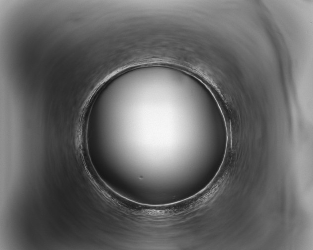 X0000097881500200803211324