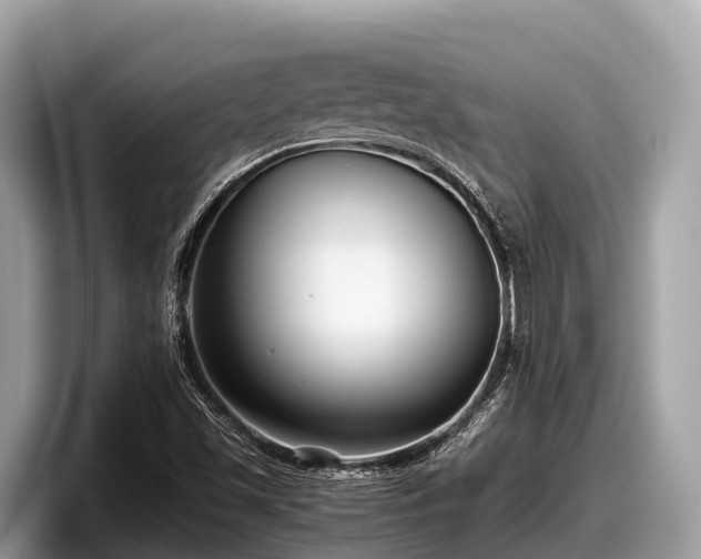 X0000097881501200803211324