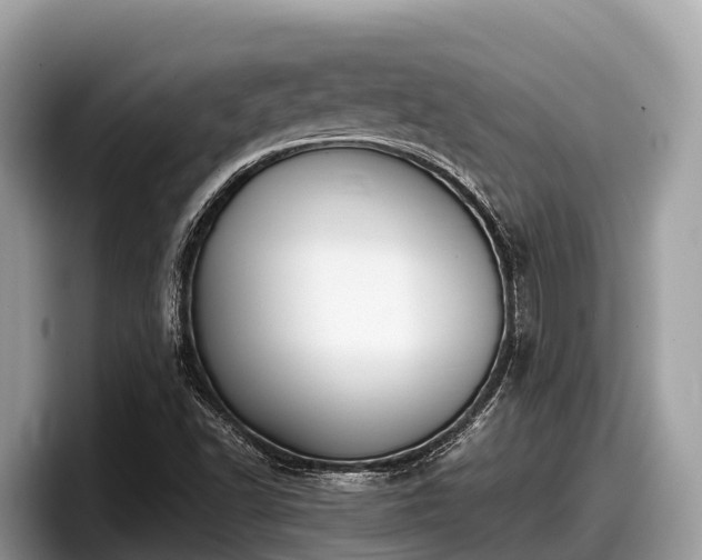X0000097881502200803211324