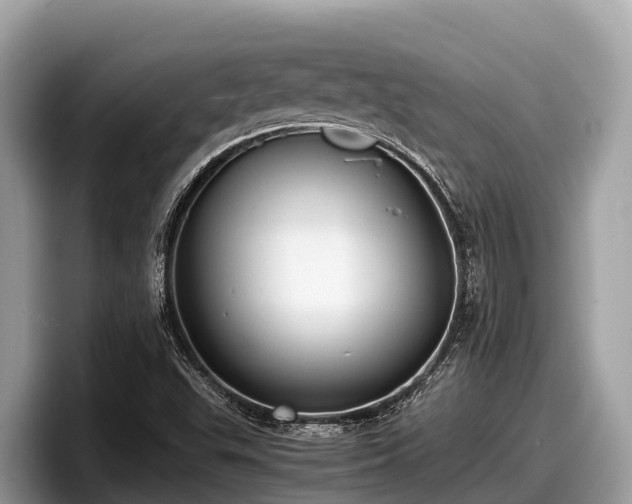 X0000097881503200803211324