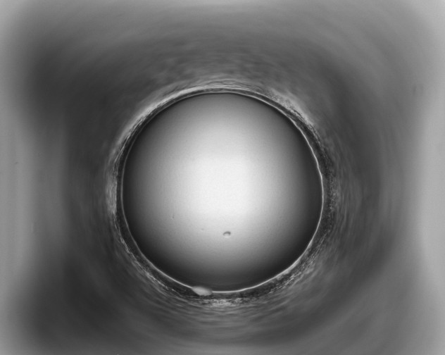 X0000097881504200803211324