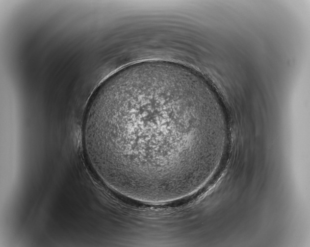 X0000097881505200803211324
