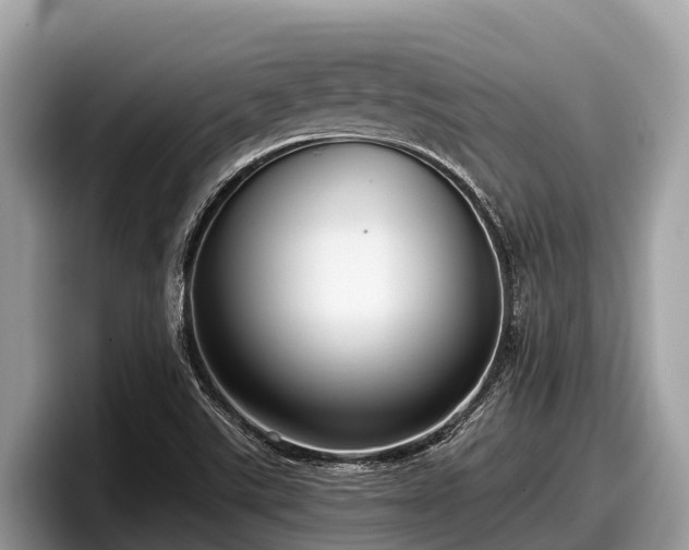 X0000097881507200803211324