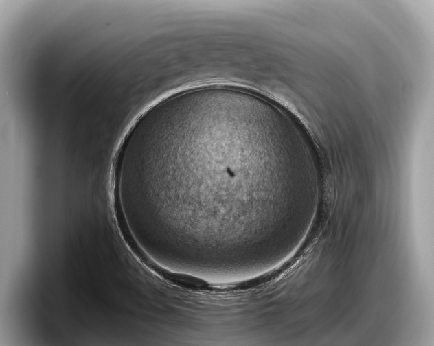 X0000097881508200803211324
