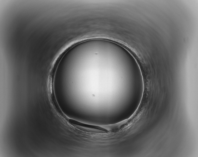 X0000097881510200803211324
