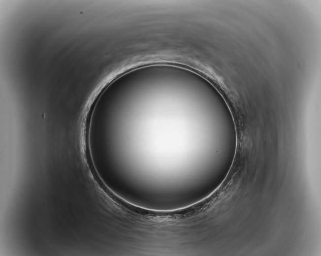 X0000097881512200803211324