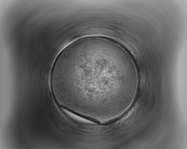 X0000097881513200803211324