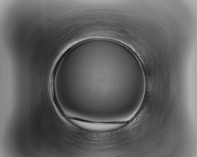 X0000097881515200803211324