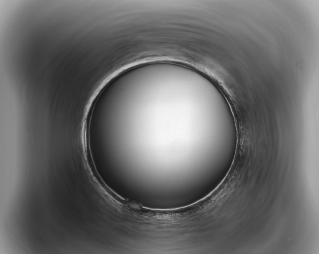X0000097881516200803211324