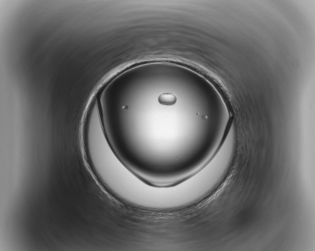 X0000097881517200803211324