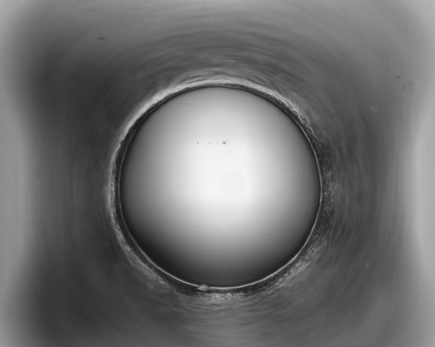 X0000097881518200803211324