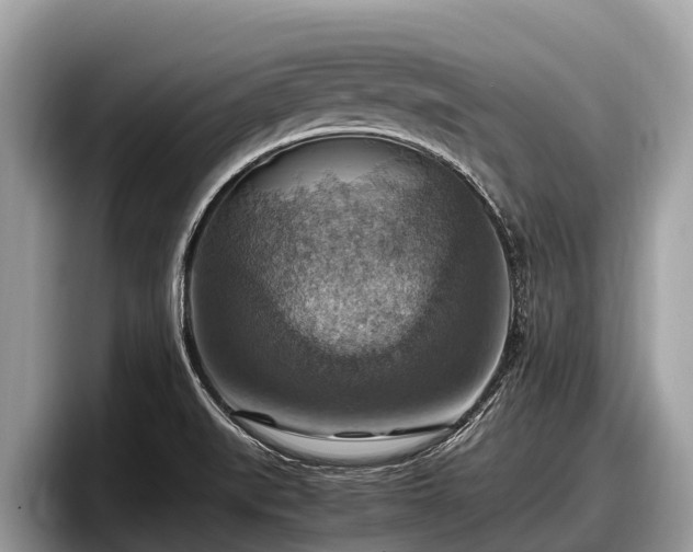X0000097881519200803211324