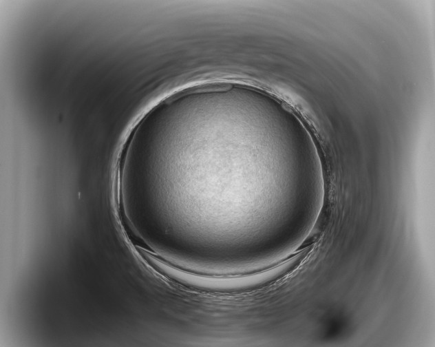 X0000097881520200803211324