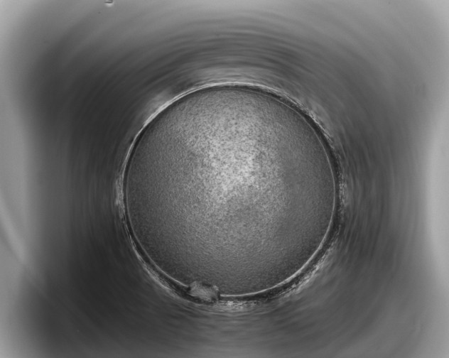X0000097881521200803211324