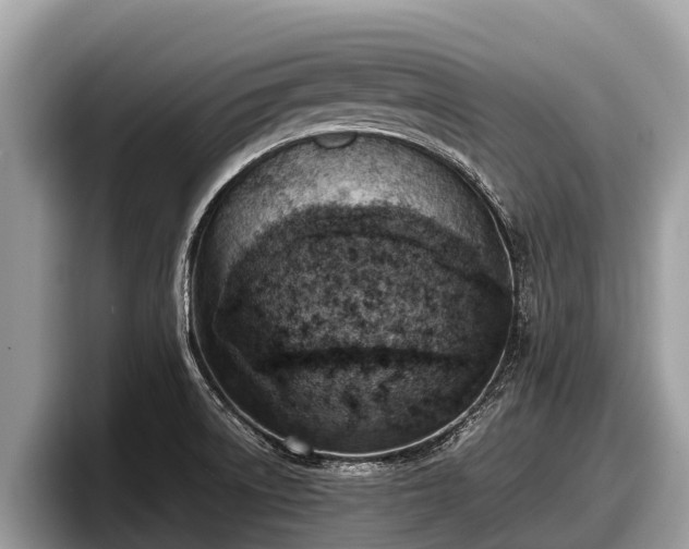 X0000097881522200803211324