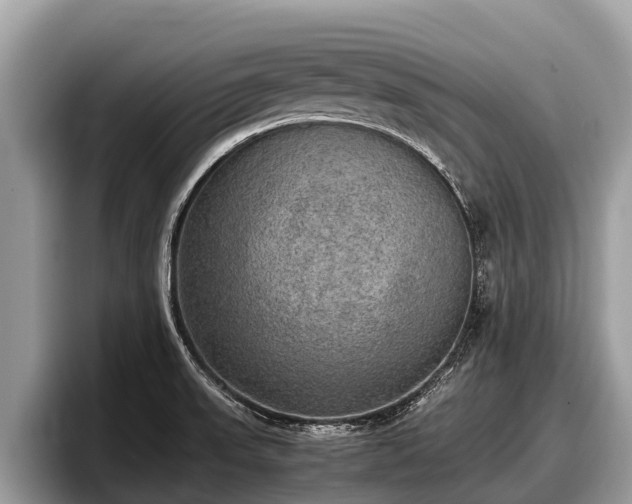 X0000097881523200803211324