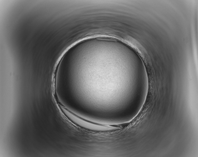 X0000097881524200803211324