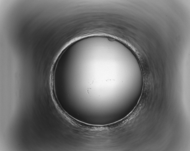 X0000097881526200803211324