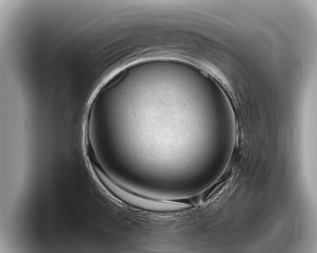 X0000097881528200803211324