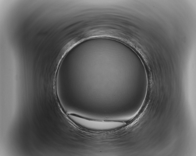 X0000097881529200803211324