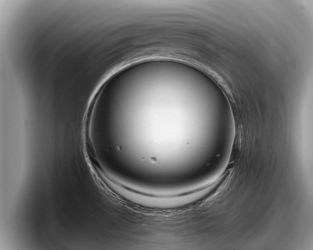 X0000097881530200803211324