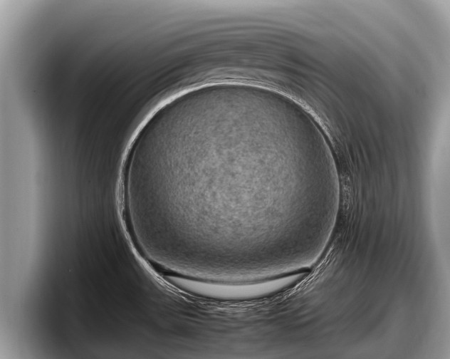 X0000097881531200803211324