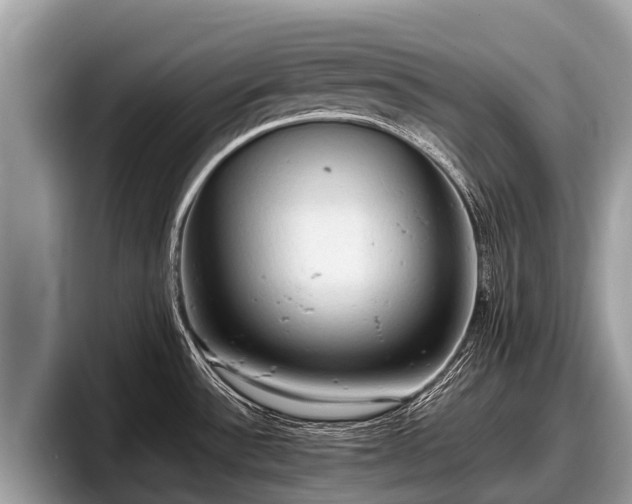 X0000097881532200803211324