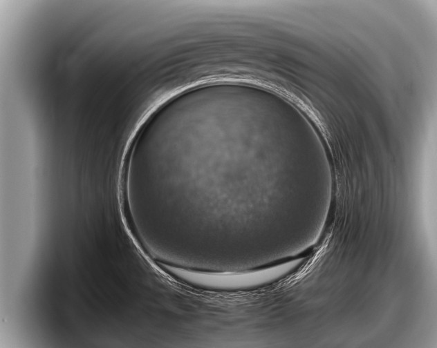X0000097881533200803211324