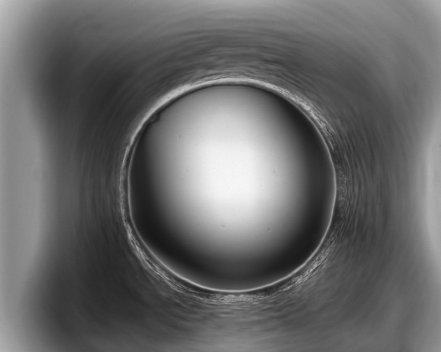 X0000097881534200803211324