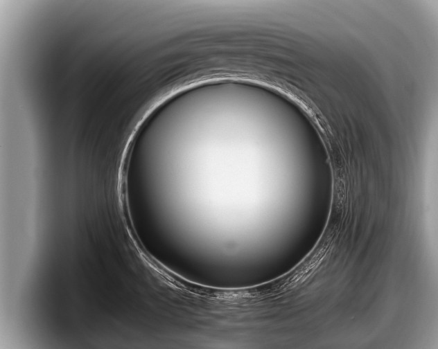 X0000097881535200803211324