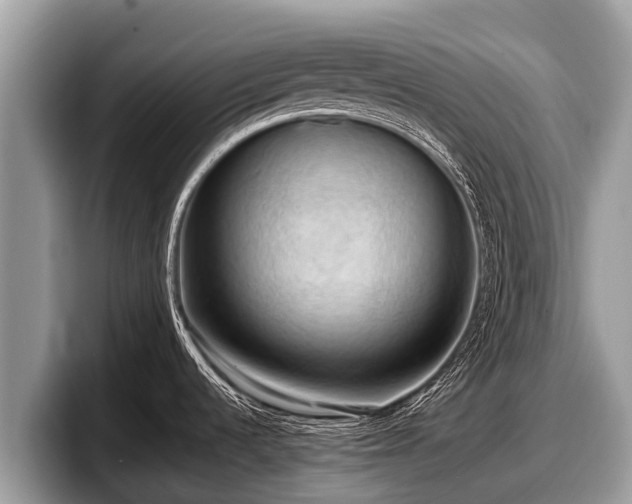 X0000097881536200803211324
