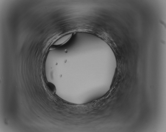 X0000097880001200803281234