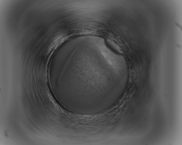 X0000097880002200803281234