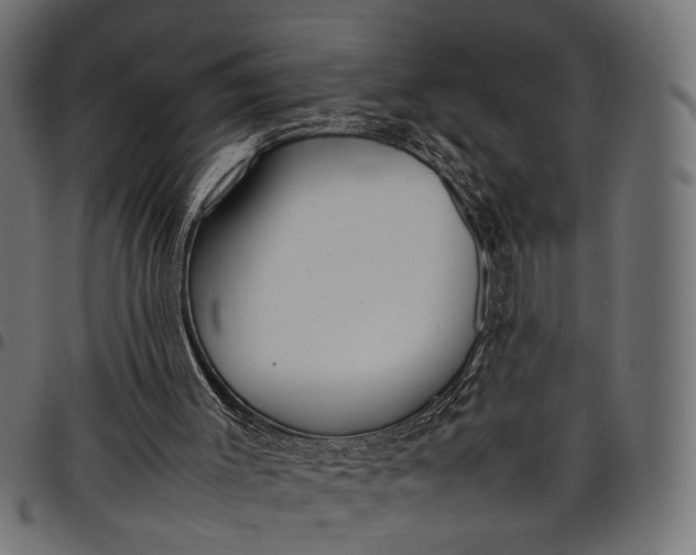 X0000097880003200803281234