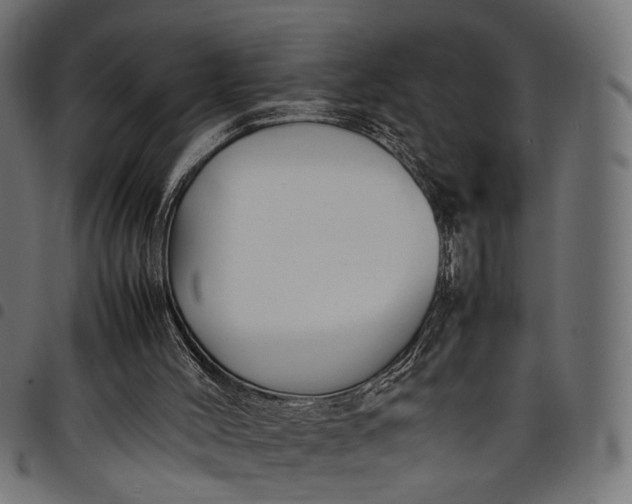 X0000097880004200803281234