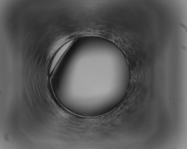 X0000097880005200803281234