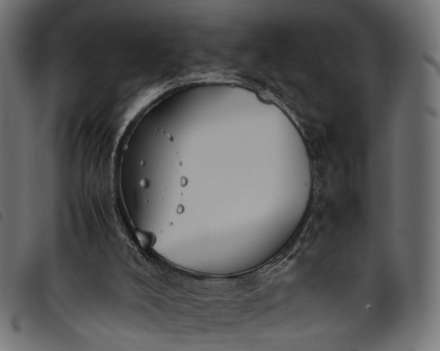 X0000097880008200803281234