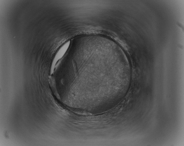 X0000097880009200803281234