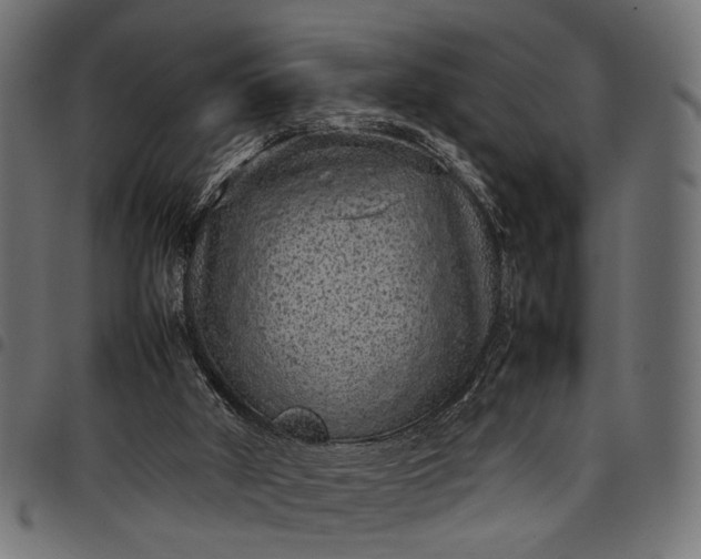 X0000097880010200803281234