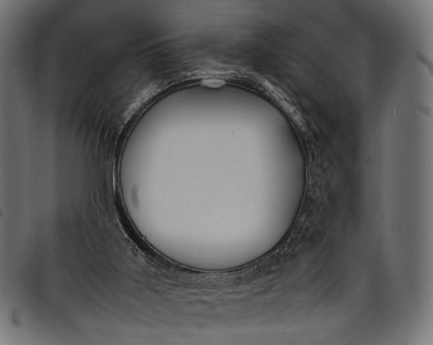 X0000097880011200803281234