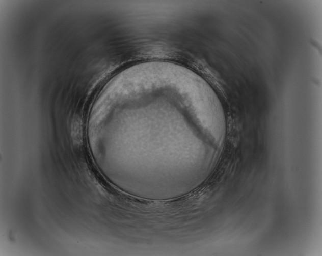 X0000097880012200803281233