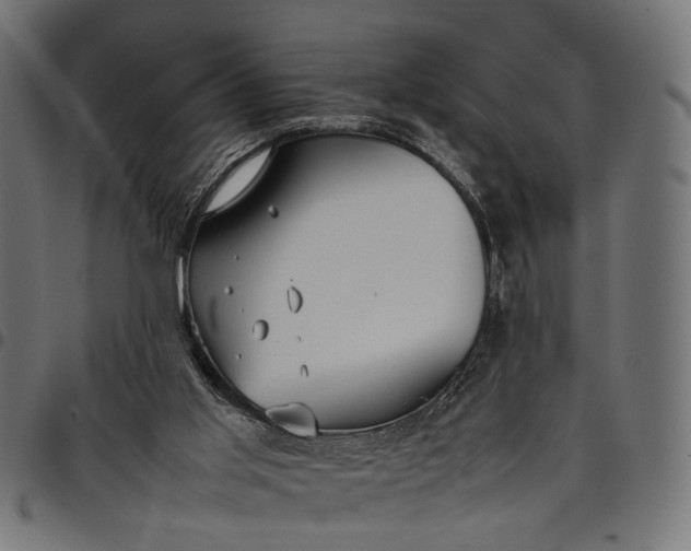 X0000097880013200803281233